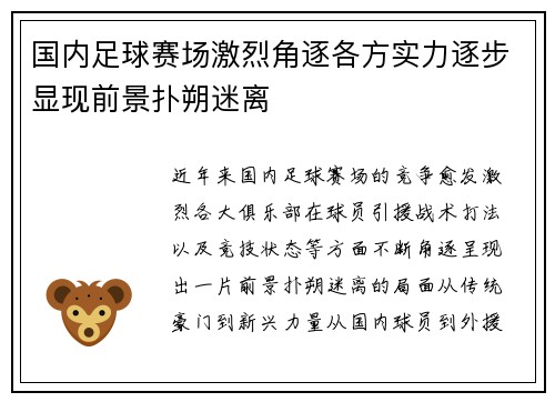 国内足球赛场激烈角逐各方实力逐步显现前景扑朔迷离