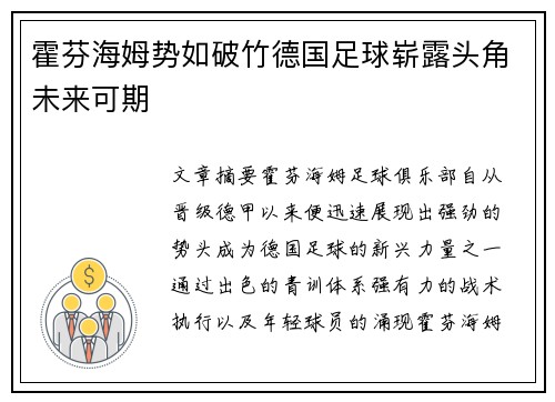 霍芬海姆势如破竹德国足球崭露头角未来可期