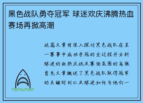 黑色战队勇夺冠军 球迷欢庆沸腾热血赛场再掀高潮